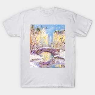 Winter in Central Park. New York T-Shirt